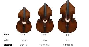 Cello Bow Length Chart 2019
