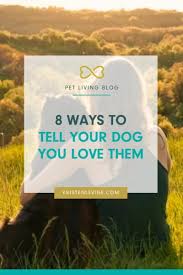 your dog you love them