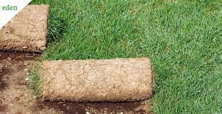 types of carpet gr eden lawn care