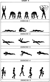 5bx exercises chart 4 endocrine balance