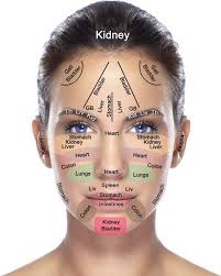 Does Your Face Reflect The Health Of Your Body Organs