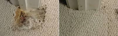 bleach damaged stain recolor carpet
