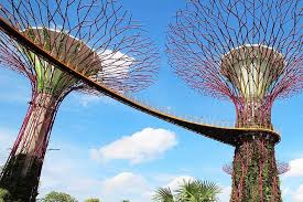gardens by the bay entry 2023