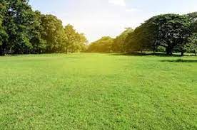 green park stock photos images and