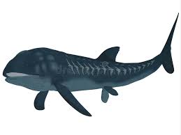 The leedsichthys cannot be tamed, however, it can be because i have also seen leedsichthys in ark survival evolved on mobile. Leedsichthys Stock Illustrations 16 Leedsichthys Stock Illustrations Vectors Clipart Dreamstime