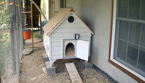 outfit your coop with an automatic door