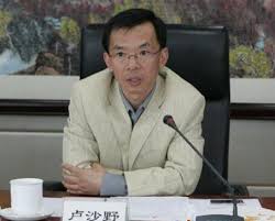 Image result for 外交部非洲司司长卢沙野