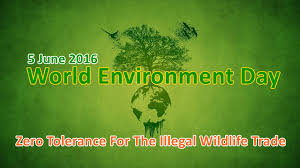 Image result for world environment day 2016