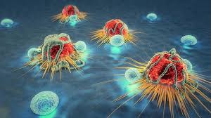 Image result for innate immune system images