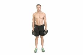 dumbbell arm workout for bigger biceps
