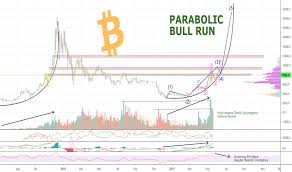 Bitcoin Evidence Parabolic Bull Run Will Happen For