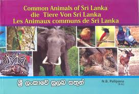 New hack free fire ios jailbreak 1.54.6 free hack no ban 100%luda official. Animal Name List In Sinhala Animal Book