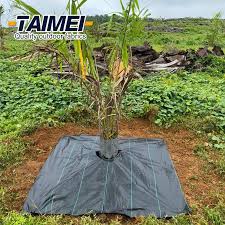 square palm tree mat biodegradable tree