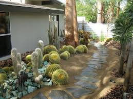 Cacti Garden Xeriscape Succulent