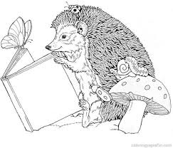 Coloring pages for hedgehog are available below. Pin On Artistic