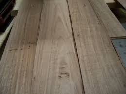 tasmanian oak flooring in melbourne