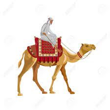 Illustration of a two arabs on camel. Arab Man Riding A Camel Vector Illustration Isolated On White Royalty Free Cliparts Vectors And Stock Illustration Image 87405825