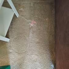 bobby s carpet cleaning request a