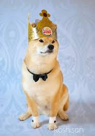 A doge miner can mine the digital. Parakavka Barkley For Prom King By Koshisan Doge Meme Cute Dogs Cute Animals