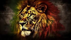king lion wallpaper free