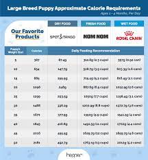 how much should you feed a boxer with