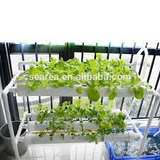 Typically, roots sit in a long sloping irrigation channel (fig 1.1). Nft 2 Layer 6 Pipe Indoor Gardening Hydroponic Small System Diy Kit Buy Home Garden Hydroponic System Ntf Pvc Pipe Hydroponic System Hydroponic Growing Systems Product On Alibaba Com