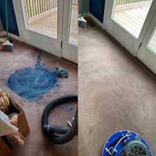 carpet cleaning encapsulator encap