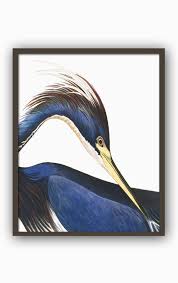 Blue Heron Bird Print Large Scale Wall