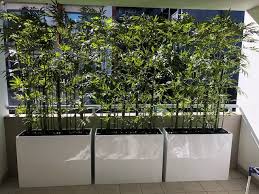 Artificial Plants Used For Screening Plants