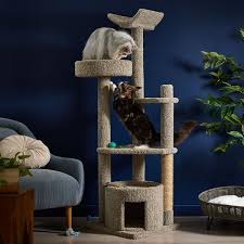 real carpet wooden cat tree and condo