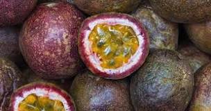 can-u-grow-passion-fruit-from-seed