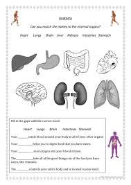 A fun esl printable matching exercise worksheet for kids to study and practise body parts vocabulary. Body Parts Worksheet Free Esl Printable Worksheets Made By On Best Worksheets Collection 4730