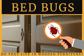 do bed bugs live in wooden furniture or