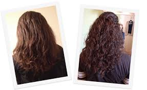 Not give the correct number? How To Grow Out Heat Damaged Hair While Still Using Heat Beautylish