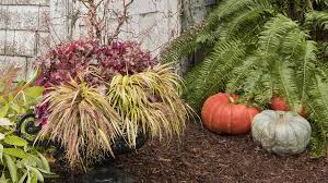 Fall Container And Planting Ideas 10