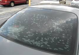 Remove Window Tint Tint A Car