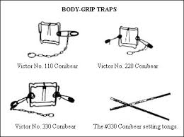 Gif Drawings Of Body Grip Traps Trapping Bobby Pins