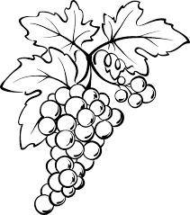 Takla org coloring 058 grape coloring page free grapes 8. Grapes From Spain Coloring Pages Color Luna Fruit Coloring Pages Grape Drawing Vine Drawing