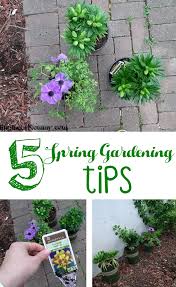 5 Spring Gardening Tips With Monrovia