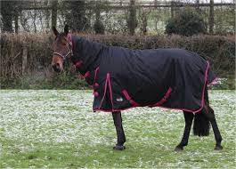 heavyweight horse turnout horse rug