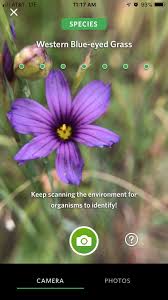 This application is completely free and extremely powerful. An App To Identify Almost Anything Almost Anywhere Bay Nature