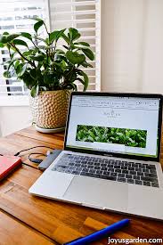 Ideal for starting seeds indoors. 15 Easy Care Office Plants For Your Desk Joy Us Garden