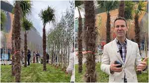 B365 - VIDEO | Robert Negoiță continua amenajările de la Piața Unirii. Edilul a plantat palmieri în zonă: Sunt plante aclimatizate, vor rezista și iarna • Știri București - Ziare locale 24