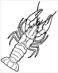 We did not find results for: Red Lobster Coloring Pages Coloringbay