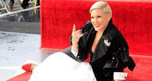 Alecia beth moore (born september 8, 1979), known professionally as pink (stylized as p!nk), is an american singer and songwriter. Pink Das Vermogen Einkommen Der Sangerin 2021