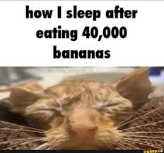 how i sleep after eating 40 000 bananas