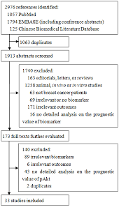 Flow Chart Of Study Selection Download Scientific Diagram