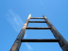 Image result for climbing ladder of success