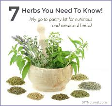 List Of Herbs 7 High Nutrition And Medicinal Herbs You Need