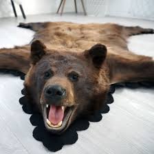 5 feet 6 inches 168 cm brown bear rug
